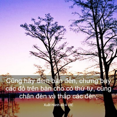 Picture 03 - Xuất Hành 40:4 VIE - Cũng hãy đem bàn đến, chưng bày các - Bible Verse Picture