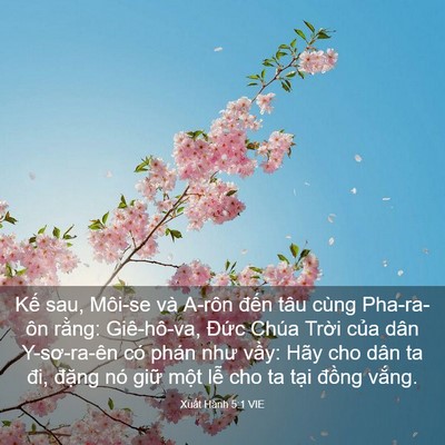 Picture 03 - Xuất Hành 5:1 VIE - Kế sau, Môi-se và A-rôn đến tâu cùng - Bible Verse Picture