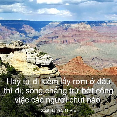 Picture 03 - Xuất Hành 5:11 VIE - Hãy tự đi kiếm lấy rơm ở đâu thì - Bible Verse Picture