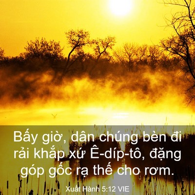 Picture 03 - Xuất Hành 5:12 VIE - Bấy giờ, dân chúng bèn đi rải khắp - Bible Verse Picture