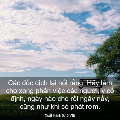 Picture 03 - Xuất Hành 5:13 VIE - Các đốc dịch lại hối rằng: Hãy làm - Bible Verse Picture