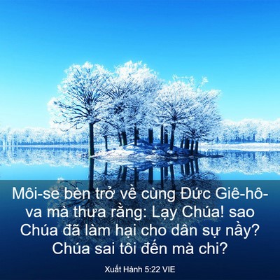 Picture 03 - Xuất Hành 5:22 VIE - Môi-se bèn trở về cùng Đức Giê-hô-va - Bible Verse Picture