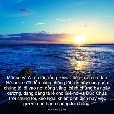 Picture 03 - Xuất Hành 5:3 VIE - Môi-se và A-rôn tâu rằng: Đức Chúa - Bible Verse Picture