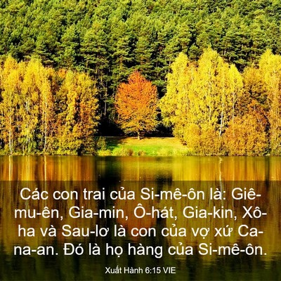Picture 03 - Xuất Hành 6:15 VIE - Các con trai của Si-mê-ôn là: Giê-mu-ên, - Bible Verse Picture