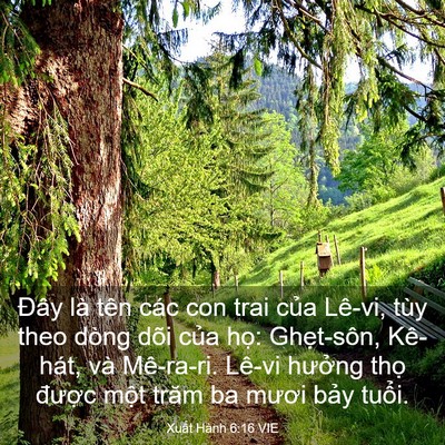 Picture 03 - Xuất Hành 6:16 VIE - Đây là tên các con trai của Lê-vi, tùy - Bible Verse Picture