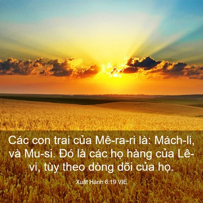 Picture 03 - Xuất Hành 6:19 VIE - Các con trai của Mê-ra-ri là: Mách-li, và - Bible Verse Picture