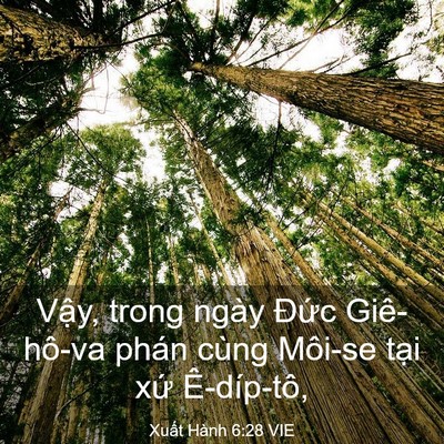 Picture 03 - Xuất Hành 6:28 VIE - Vậy, trong ngày Đức Giê-hô-va phán cùng - Bible Verse Picture