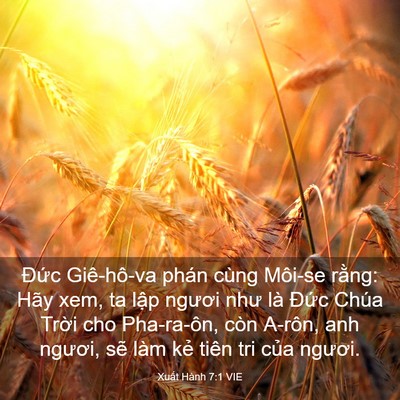 Picture 03 - Xuất Hành 7:1 VIE - Đức Giê-hô-va phán cùng Môi-se rằng: - Bible Verse Picture