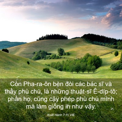Picture 03 - Xuất Hành 7:11 VIE - Còn Pha-ra-ôn bèn đòi các bác sĩ và - Bible Verse Picture