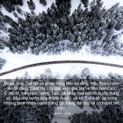 Picture 03 - Xuất Hành 7:19 VIE - Đoạn, Đức Giê-hô-va phán cùng Môi-se - Bible Verse Picture