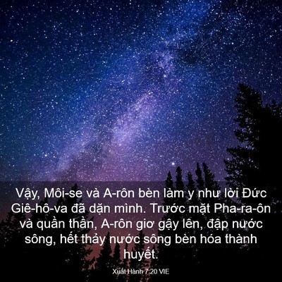 Picture 03 - Xuất Hành 7:20 VIE - Vậy, Môi-se và A-rôn bèn làm y như lời - Bible Verse Picture