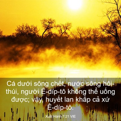 Picture 03 - Xuất Hành 7:21 VIE - Cá dưới sông chết, nước sông - Bible Verse Picture