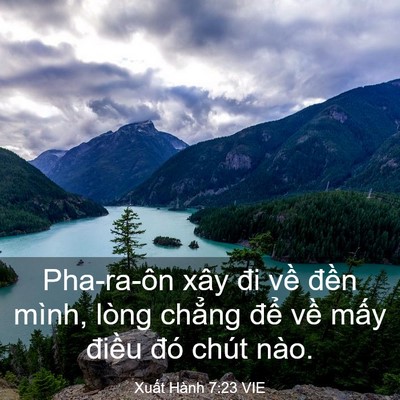 Picture 03 - Xuất Hành 7:23 VIE - Pha-ra-ôn xây đi về đền mình, lòng - Bible Verse Picture
