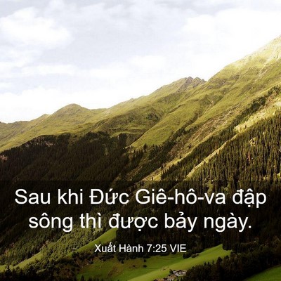 Picture 03 - Xuất Hành 7:25 VIE - Sau khi Đức Giê-hô-va đập sông thì - Bible Verse Picture