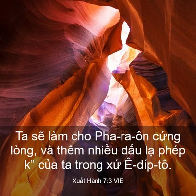 Picture 03 - Xuất Hành 7:3 VIE - Ta sẽ làm cho Pha-ra-ôn cứng lòng, và - Bible Verse Picture