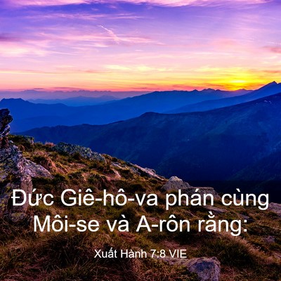 Picture 03 - Xuất Hành 7:8 VIE - Đức Giê-hô-va phán cùng Môi-se và A-rôn - Bible Verse Picture