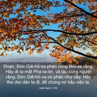 Picture 03 - Xuất Hành 8:1 VIE - Đoạn, Đức Giê-hô-va phán cùng Môi-se - Bible Verse Picture