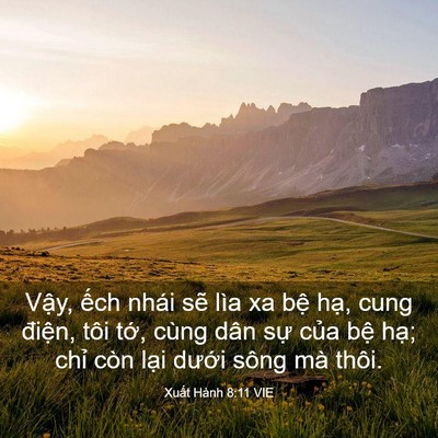 Picture 03 - Xuất Hành 8:11 VIE - Vậy, ếch nhái sẽ lìa xa bệ hạ, cung - Bible Verse Picture