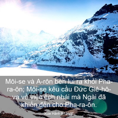 Picture 03 - Xuất Hành 8:12 VIE - Môi-se và A-rôn bèn lui ra khỏi Pha-ra-ôn; - Bible Verse Picture