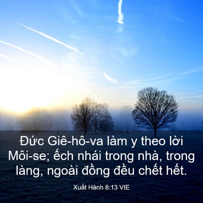Picture 03 - Xuất Hành 8:13 VIE - Đức Giê-hô-va làm y theo lời Môi-se; - Bible Verse Picture