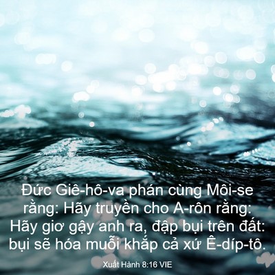 Picture 03 - Xuất Hành 8:16 VIE - Đức Giê-hô-va phán cùng Môi-se rằng: - Bible Verse Picture