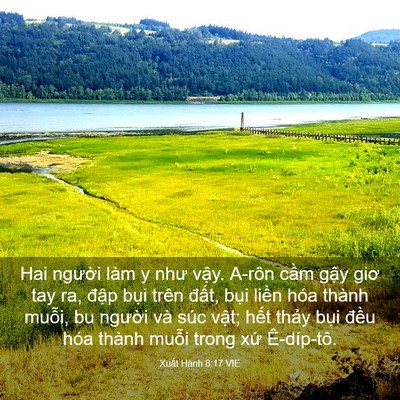 Picture 03 - Xuất Hành 8:17 VIE - Hai người làm y như vậy. A-rôn cầm - Bible Verse Picture