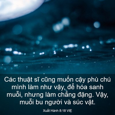 Picture 03 - Xuất Hành 8:18 VIE - Các thuật sĩ cũng muốn cậy phù chú - Bible Verse Picture