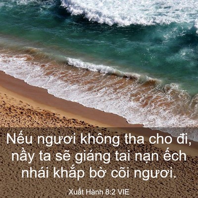 Picture 03 - Xuất Hành 8:2 VIE - Nếu ngươi không tha cho đi, nầy ta sẽ - Bible Verse Picture