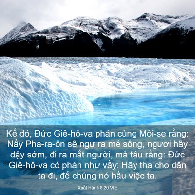Picture 03 - Xuất Hành 8:20 VIE - Kế đó, Đức Giê-hô-va phán cùng Môi-se - Bible Verse Picture