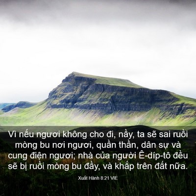 Picture 03 - Xuất Hành 8:21 VIE - Vì nếu ngươi không cho đi, nầy, ta sẽ - Bible Verse Picture