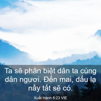 Picture 03 - Xuất Hành 8:23 VIE - Ta sẽ phân biệt dân ta cùng dân ngươi. - Bible Verse Picture