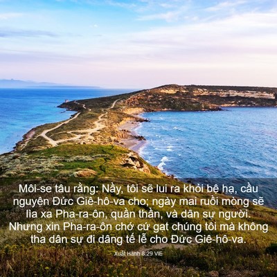 Picture 03 - Xuất Hành 8:29 VIE - Môi-se tâu rằng: Nầy, tôi sẽ lui ra - Bible Verse Picture