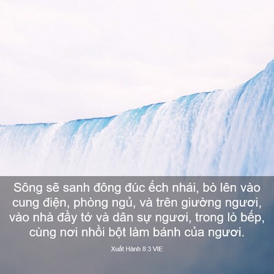 Picture 03 - Xuất Hành 8:3 VIE - Sông sẽ sanh đông đúc ếch nhái, bò - Bible Verse Picture