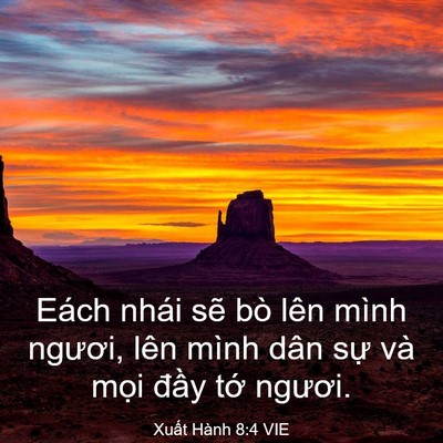 Picture 03 - Xuất Hành 8:4 VIE - Eách nhái sẽ bò lên mình ngươi, lên - Bible Verse Picture