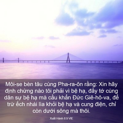Picture 03 - Xuất Hành 8:9 VIE - Môi-se bèn tâu cùng Pha-ra-ôn rằng: Xin - Bible Verse Picture