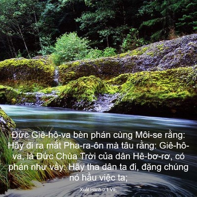 Picture 03 - Xuất Hành 9:1 VIE - Đức Giê-hô-va bèn phán cùng Môi-se - Bible Verse Picture