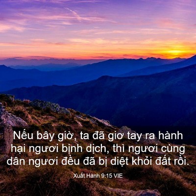 Picture 03 - Xuất Hành 9:15 VIE - Nếu bây giờ, ta đã giơ tay ra hành hại - Bible Verse Picture