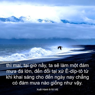 Picture 03 - Xuất Hành 9:18 VIE - thì mai, tại giờ nầy, ta sẽ làm một - Bible Verse Picture