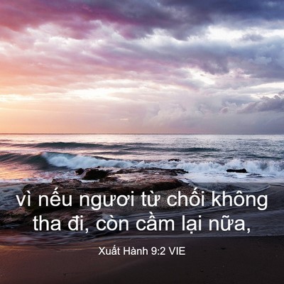 Picture 03 - Xuất Hành 9:2 VIE - vì nếu ngươi từ chối không tha đi, - Bible Verse Picture