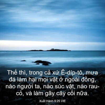 Picture 03 - Xuất Hành 9:25 VIE - Thế thì, trong cả xứ Ê-díp-tô, mưa - Bible Verse Picture