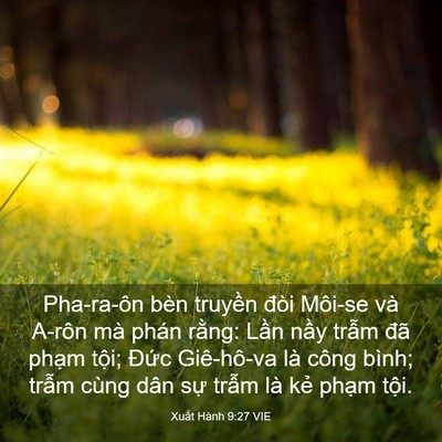Picture 03 - Xuất Hành 9:27 VIE - Pha-ra-ôn bèn truyền đòi Môi-se và A-rôn - Bible Verse Picture