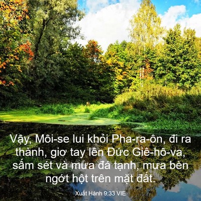 Picture 03 - Xuất Hành 9:33 VIE - Vậy, Môi-se lui khỏi Pha-ra-ôn, đi ra - Bible Verse Picture