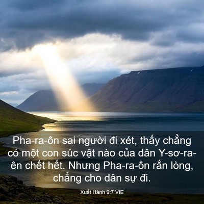 Picture 03 - Xuất Hành 9:7 VIE - Pha-ra-ôn sai người đi xét, thấy chẳng - Bible Verse Picture