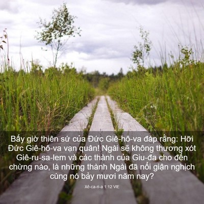 Picture 03 - Xê-ca-ri-a 1:12 VIE - Bấy giờ thiên sứ của Đức Giê-hô-va - Bible Verse Picture