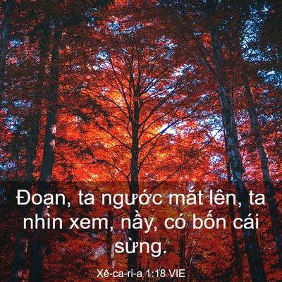 Picture 03 - Xê-ca-ri-a 1:18 VIE - Đoạn, ta ngước mắt lên, ta nhìn xem, - Bible Verse Picture