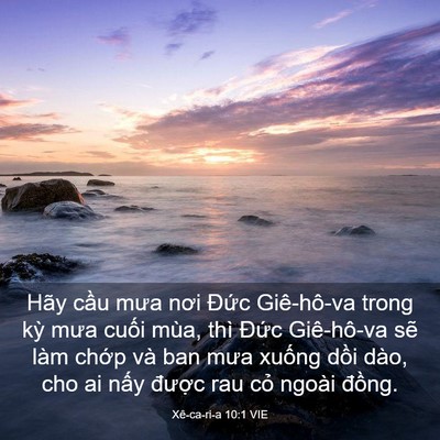 Picture 03 - Xê-ca-ri-a 10:1 VIE - Hãy cầu mưa nơi Đức Giê-hô-va trong - Bible Verse Picture