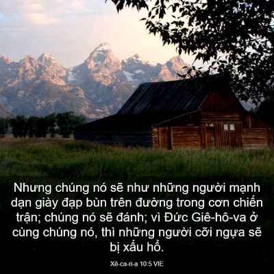 Picture 03 - Xê-ca-ri-a 10:5 VIE - Nhưng chúng nó sẽ như những người - Bible Verse Picture