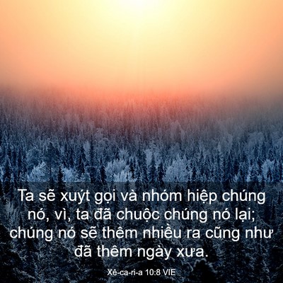 Picture 03 - Xê-ca-ri-a 10:8 VIE - Ta sẽ xuýt gọi và nhóm hiệp chúng nó, - Bible Verse Picture