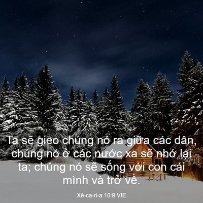 Picture 03 - Xê-ca-ri-a 10:9 VIE - Ta sẽ gieo chúng nó ra giữa các dân, - Bible Verse Picture
