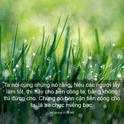 Picture 03 - Xê-ca-ri-a 11:12 VIE - Ta nói cùng chúng nó rằng: Nếu các - Bible Verse Picture